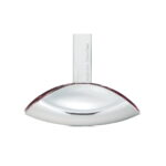 Calvin Klein Euphoria for Women Eau de parfum 100ml